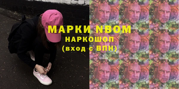 трава Няндома