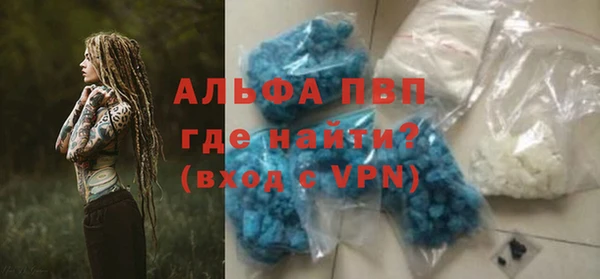 трава Няндома