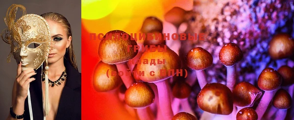 ешки Нягань