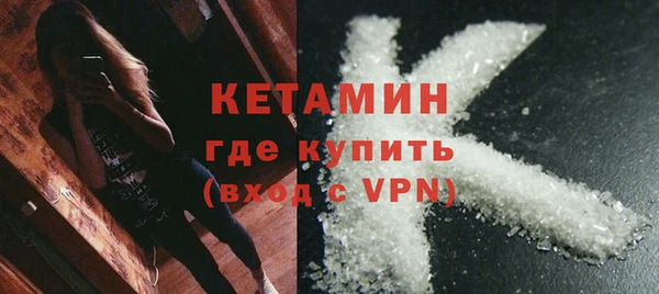 трава Няндома