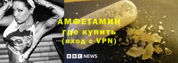 трава Няндома