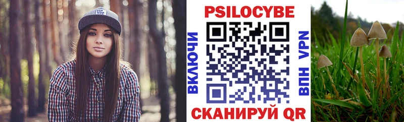 цены   Севастополь  Псилоцибиновые грибы Cubensis 