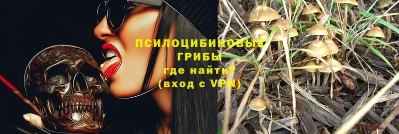 наркошоп  Севастополь  OMG как зайти  Галлюциногенные грибы Magic Shrooms 