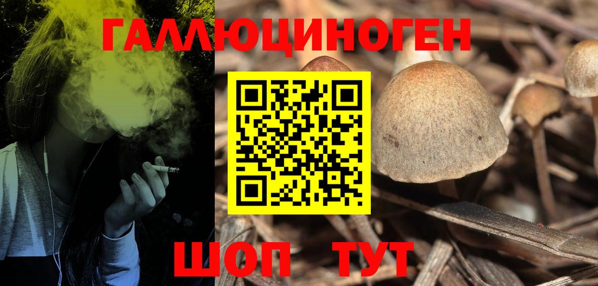 Галлюциногенные грибы Psilocybine cubensis Севастополь