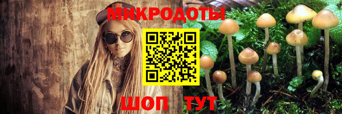 Псилоцибиновые грибы ЛСД  Галлюциногенные грибы Psilocybe  купить закладку  Вход с VPN  Севастополь 